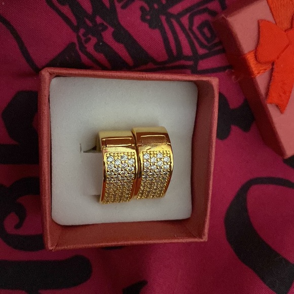 Sparkly Hinged Earrings - Picture 5 of 7